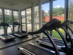 The Verandah Residences (D5), Apartment #466407381